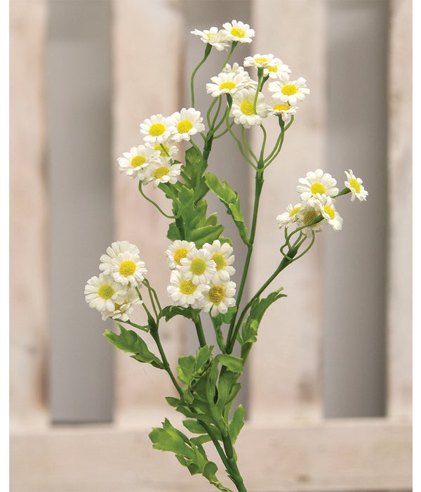 Chamomile Flower Spray, White -