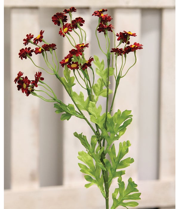 Chamomile Flower Spray, Red -