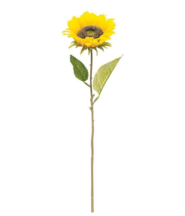 Blooming Sunflower Stem, Yellow -
