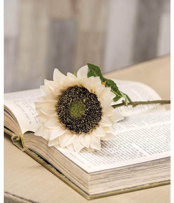 Blooming Sunflower Stem, Champagne -