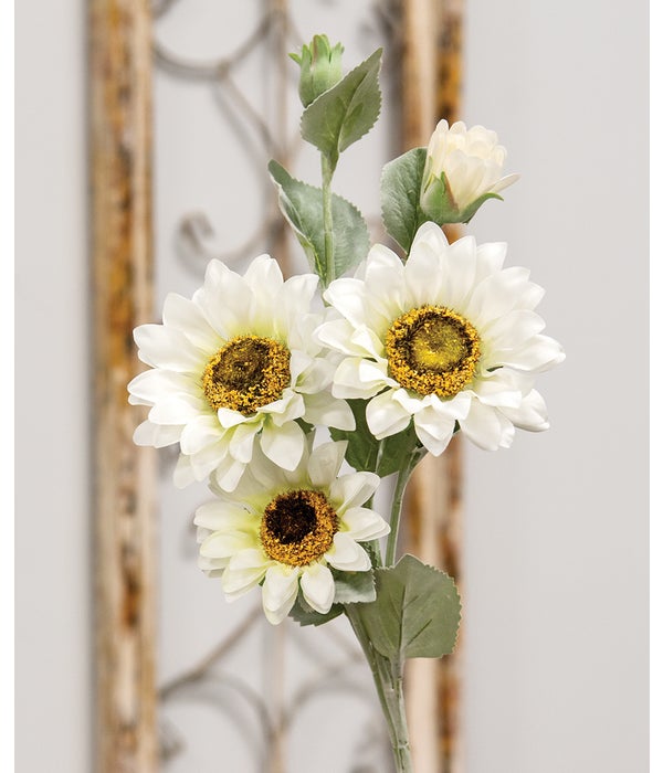Sunflower Blooms Spray, White -