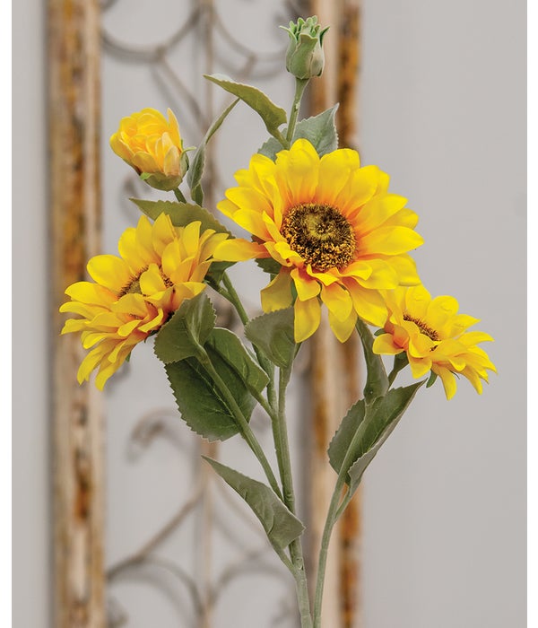 Sunflower Blooms Spray, Yellow -