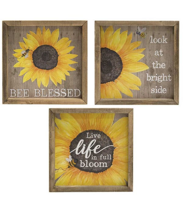 Bee Blessed Sunflower Box Sign, 3 Asstd. - 8 Sq  x  1.25 Dp in.