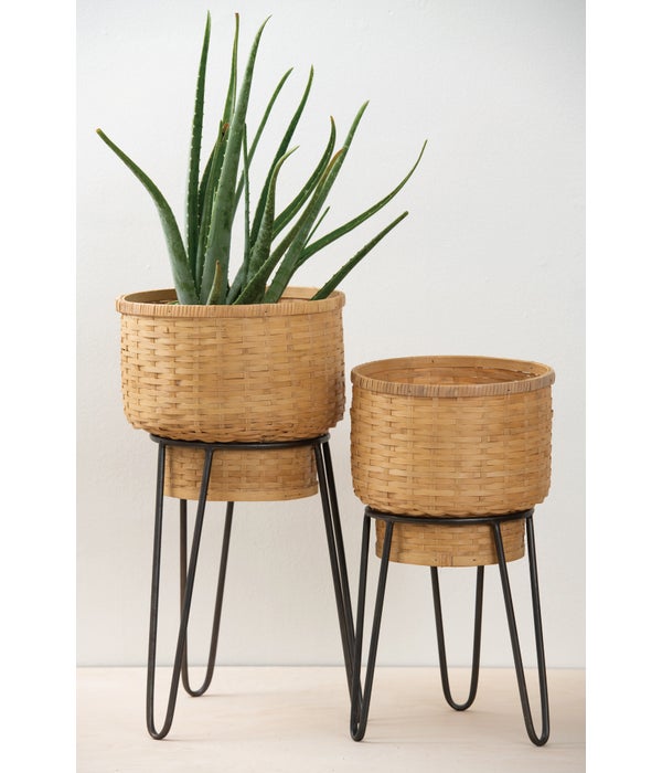 Bamboo Planters S/2