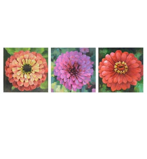 Blooms Triptych