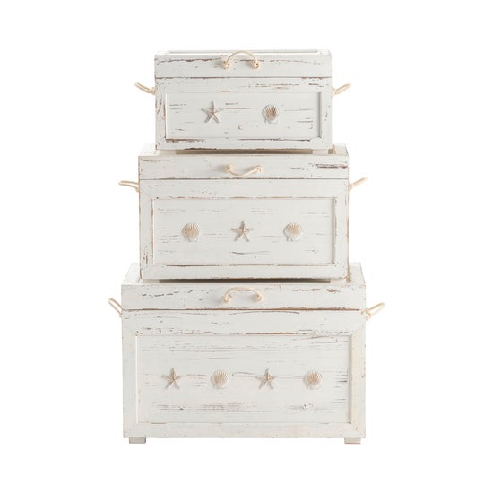 Seaside White Shell Set Of 3 Trunks