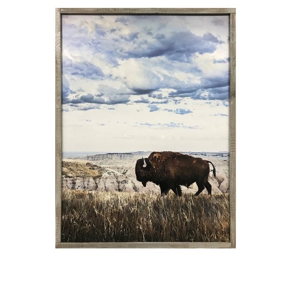 BISON