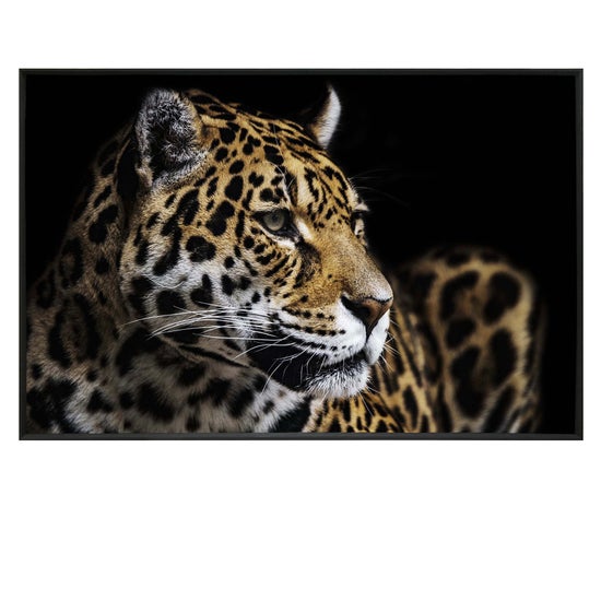 JAG