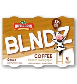 MEH BLNDZ COFFEE FAM PK YOGURT