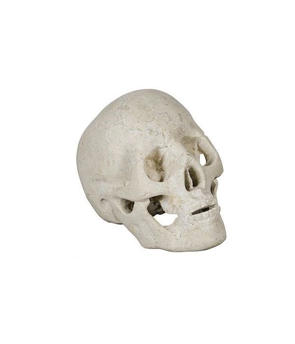 Skull, White Marble