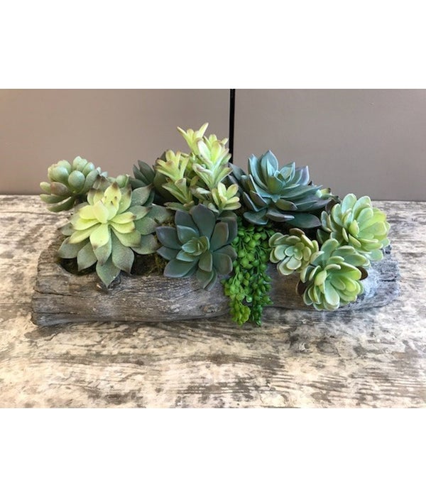 Small Concrete Wood Log with Mixed Succulents