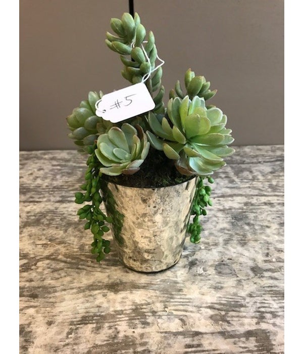 Small Mercury Pot with Mixed Succulents