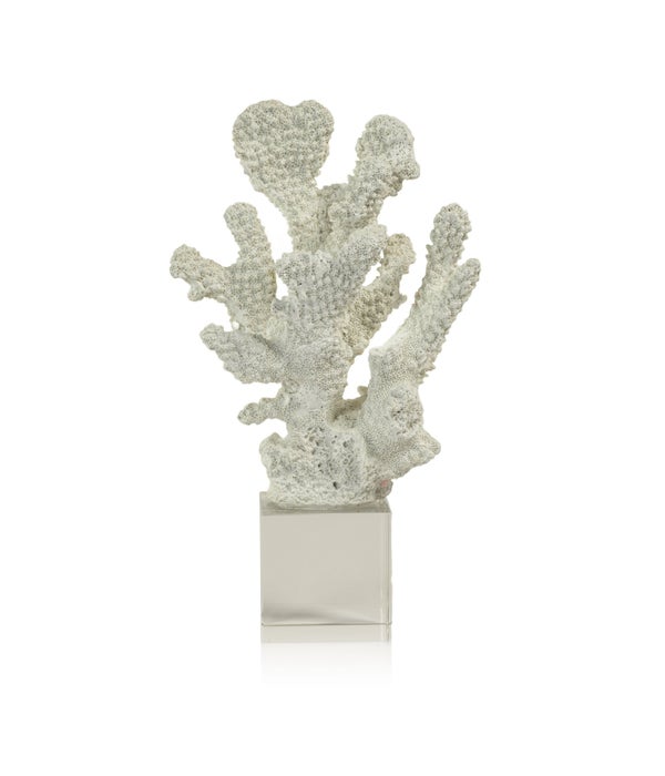 White Coral on Acrylic Base, Design A