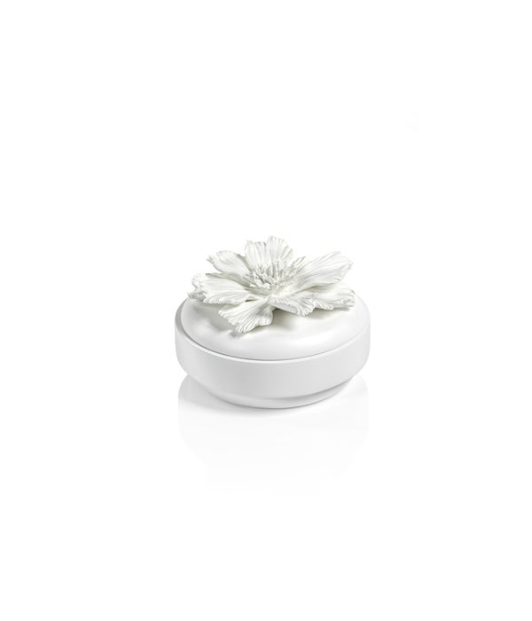 Blanchefleur All White Wood and Porcelain Box, Small