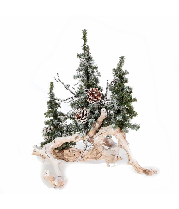 Small Snow Tree Branch