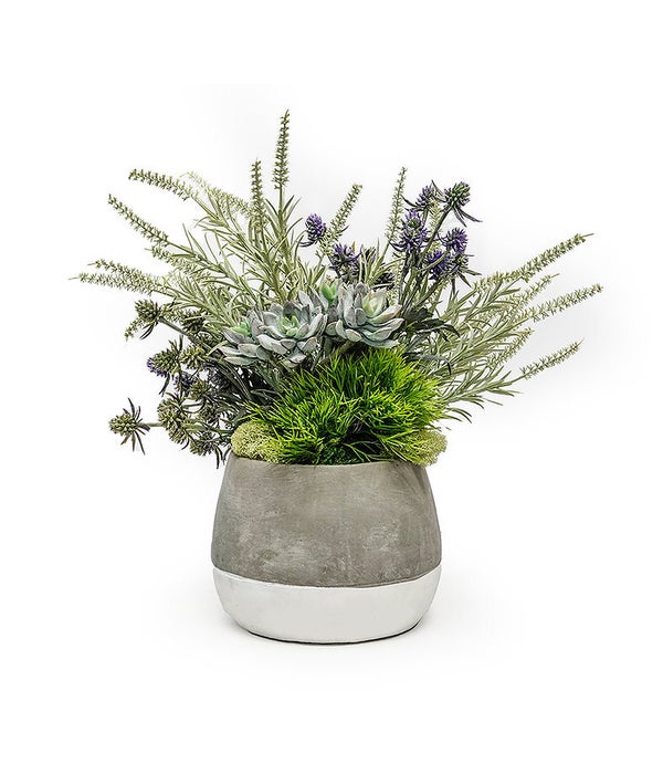 Thistle/Astibile Pot