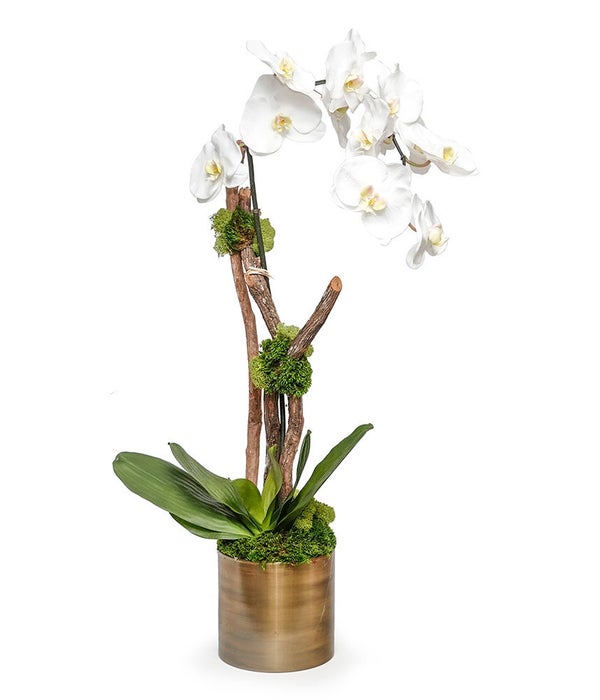 Bronze Pot with Orchid/Wood