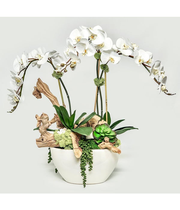 White Oval Pot with Orchids/Crystals/Grap