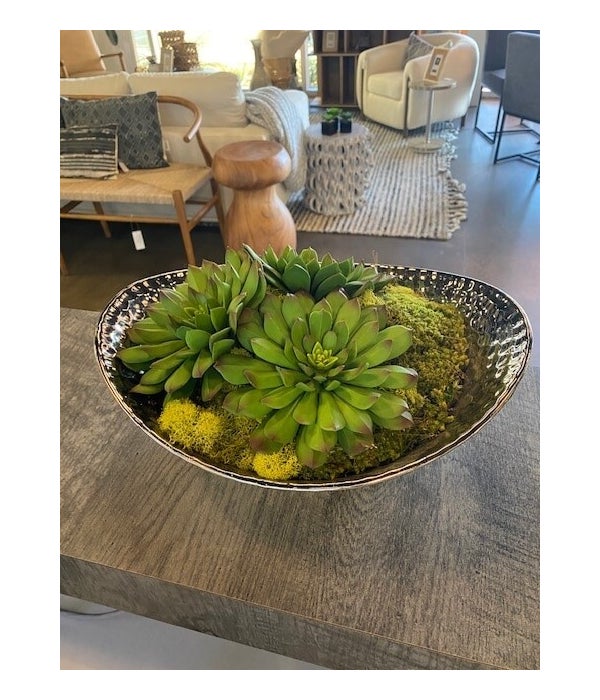 Succulents in Hammered Silver Bowl