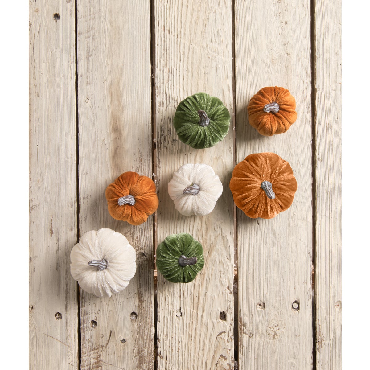 Elegant Velvet Fall Pumpkins S7