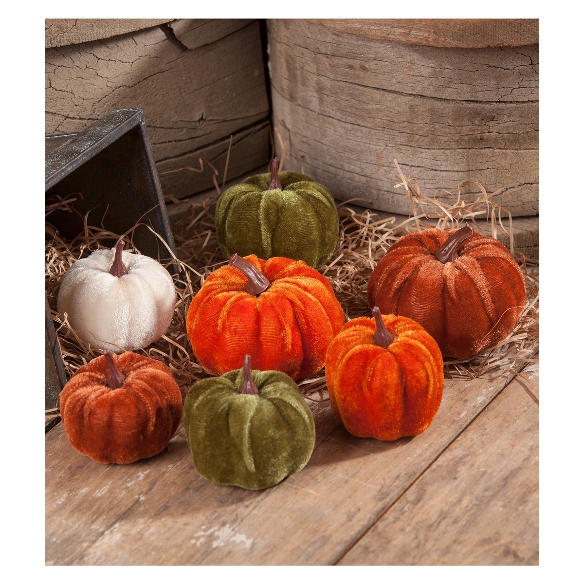 Velveteen Pumpkin In Bag S7