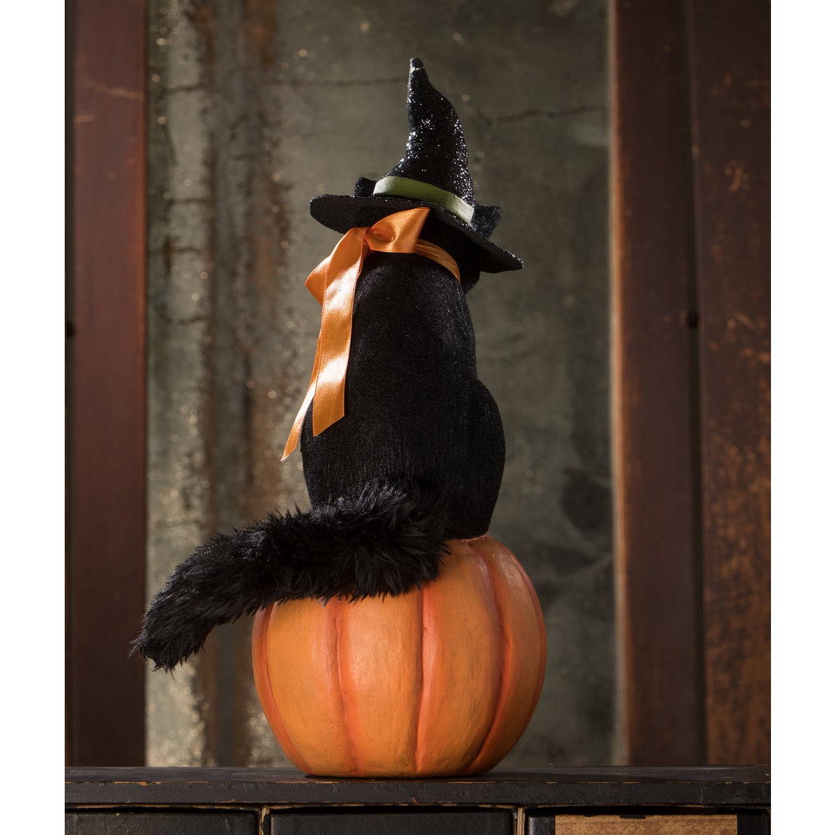 Black Cat Witch on Jack O'Lantern