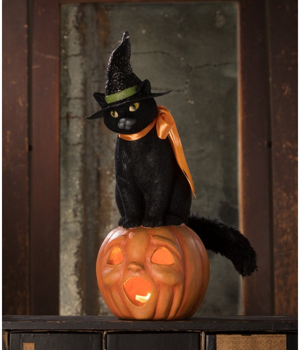 Black Cat Witch on Jack O'Lantern