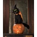 Black Cat Witch on Jack O'Lantern