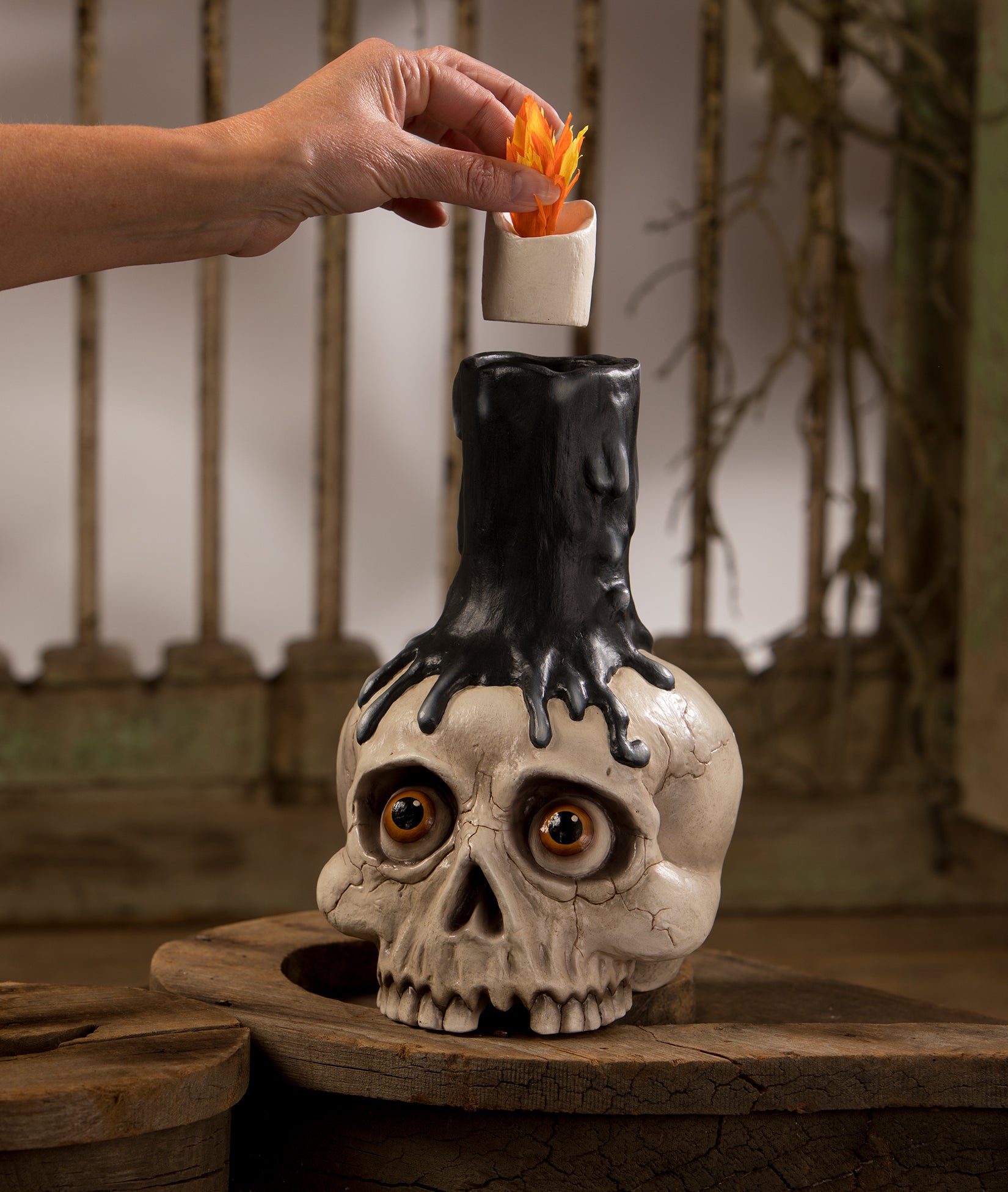 VALIEM 鉢　L size skull bitter Skull Candle Holder - | Bethany Lowe Designs
