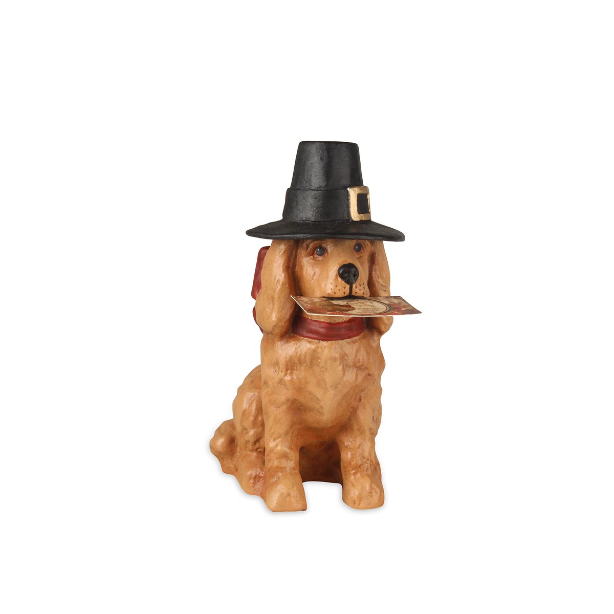 Thanksgiving Dog