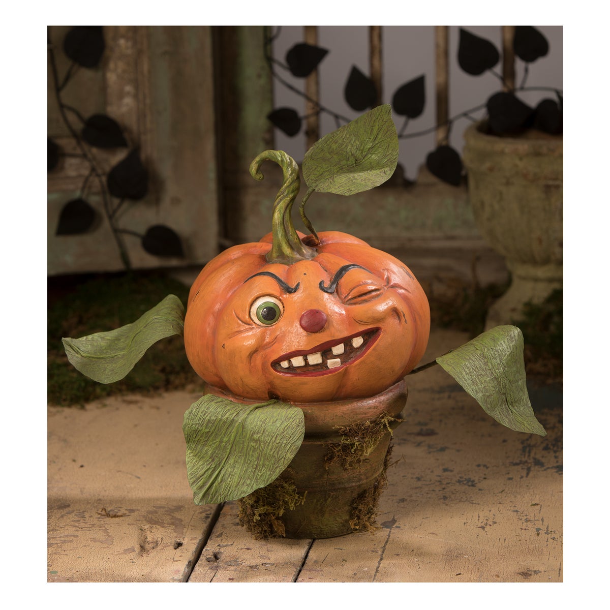 Cheeky Pumpkin Perennial