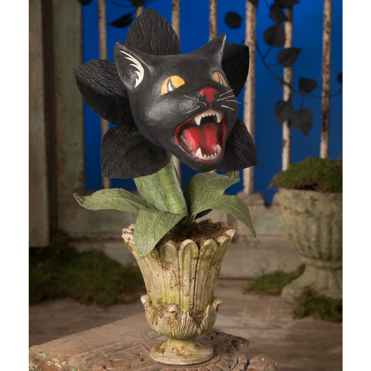 Scaredy Cat Orchid