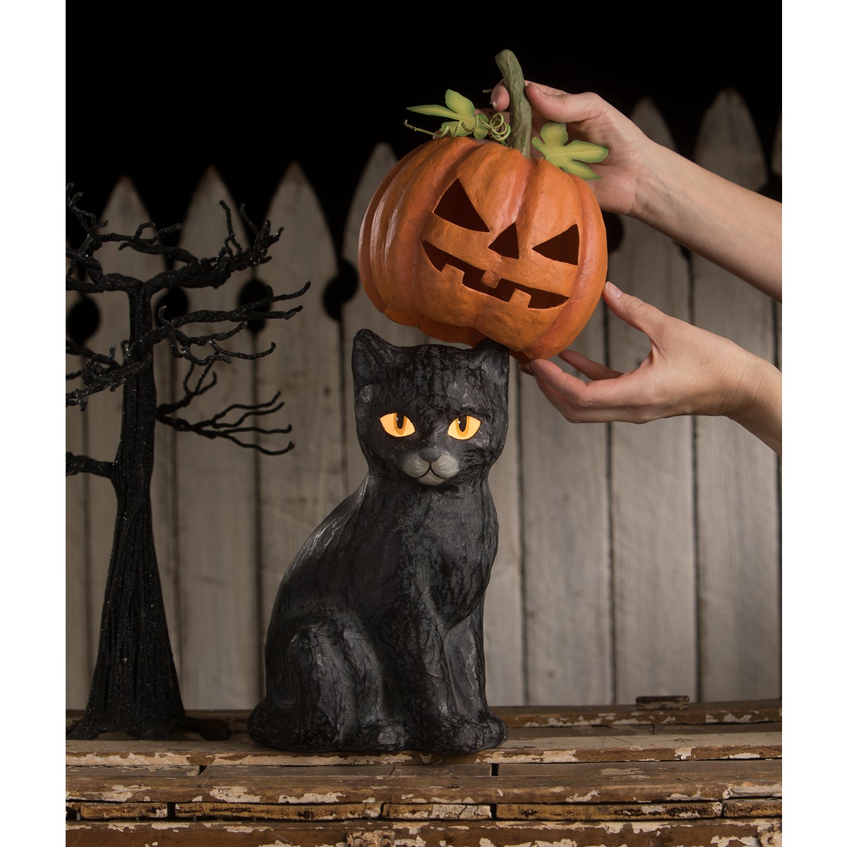 Black Cat Jack O'Lantern