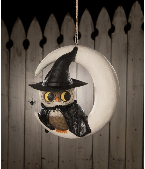 Witchy Owl On Moon Paper Mache