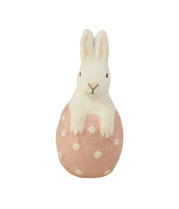 Little Bunny in Pink Egg