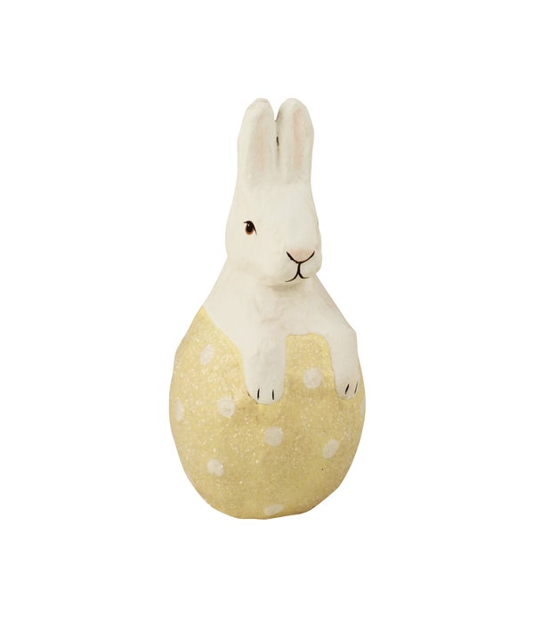 Little Bunny in Yellow Egg