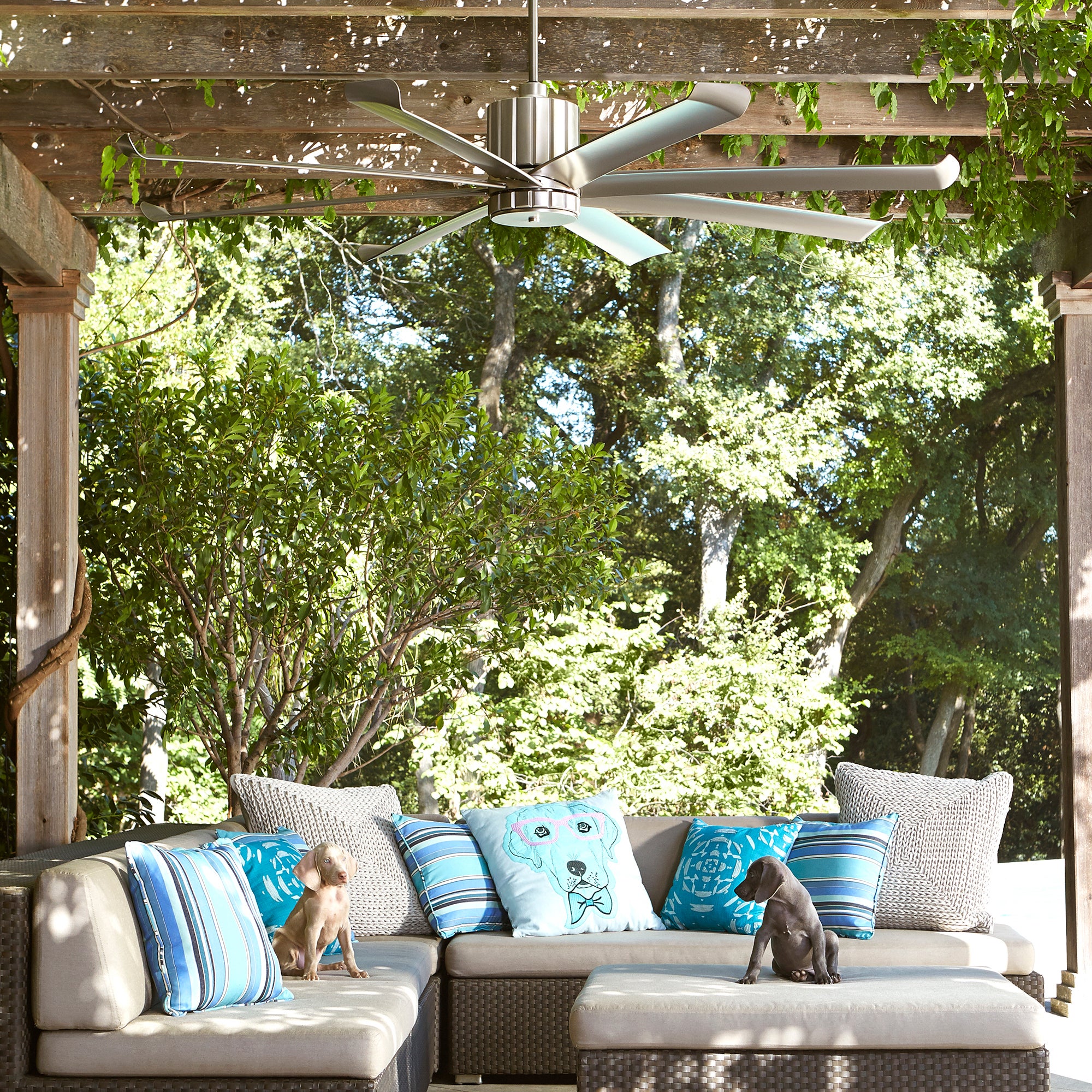 Proxima Patio 60-in Satin Nickel Indoor/Outdoor Ceiling Fan