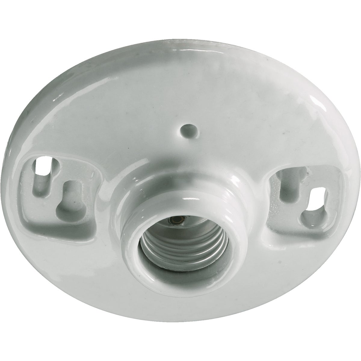 5 inch Ceiling Mount White