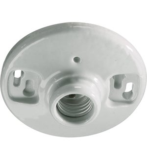 5 inch Ceiling Mount White