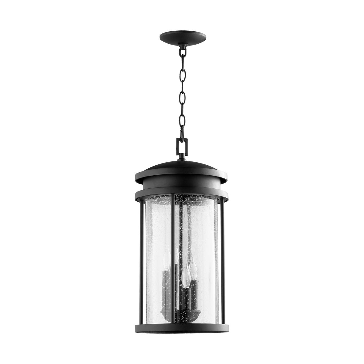 Hadley 21" 4-Light Black Outdoor Pendant