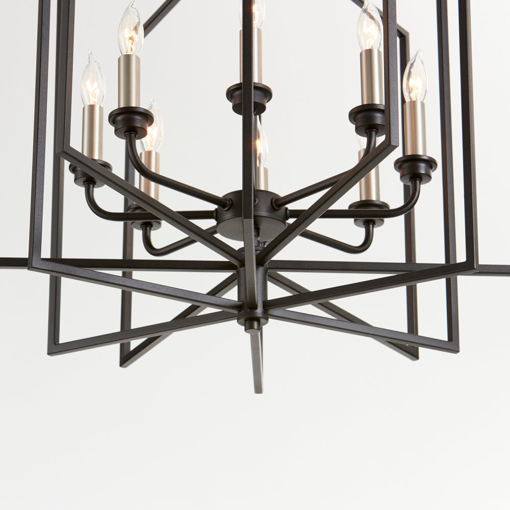 Hammond Black Transitional Cage Pendant