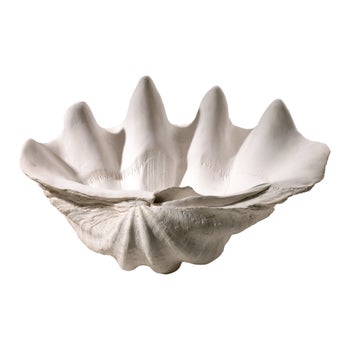 Clam Shell Bowl | White