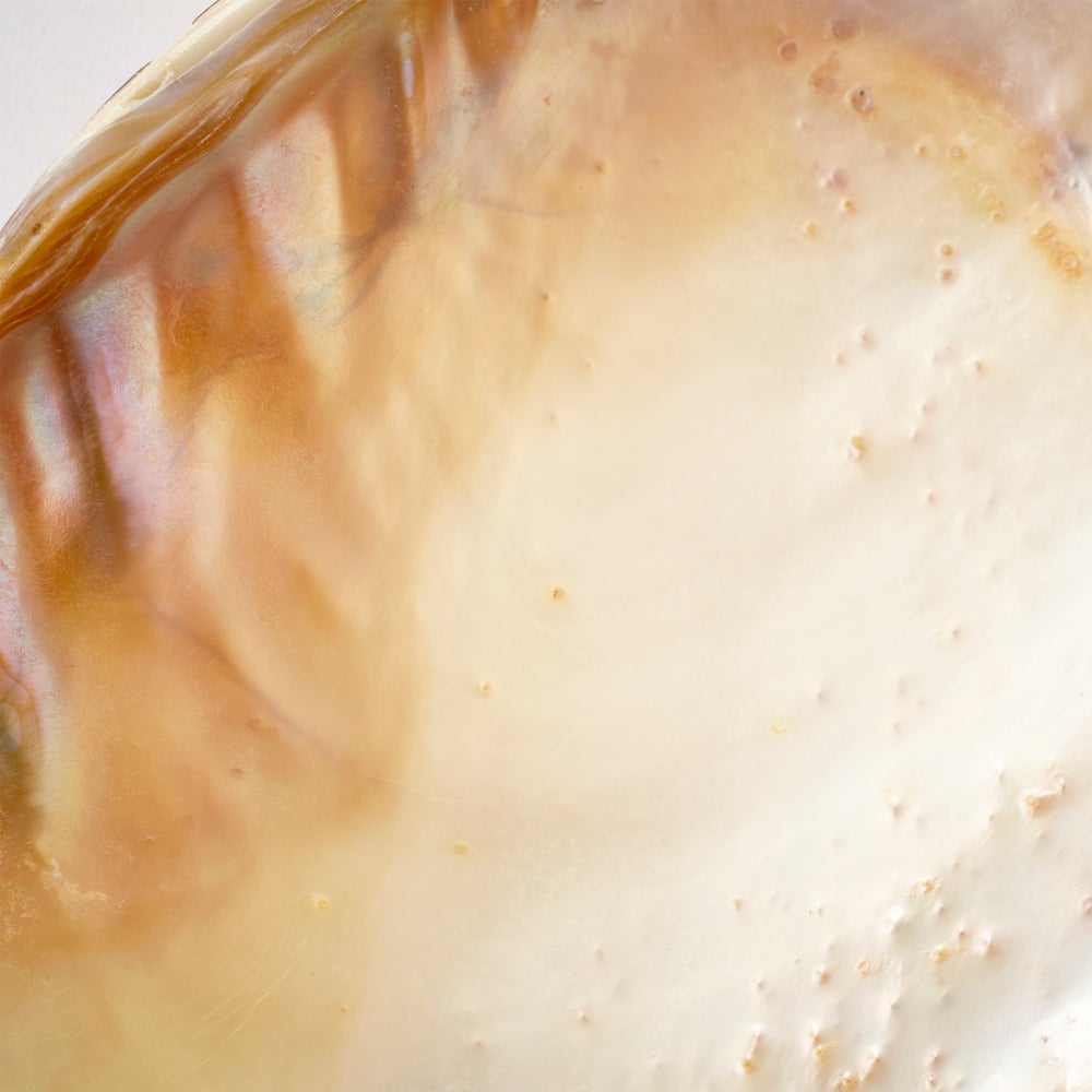 Abalone Tray - Small
