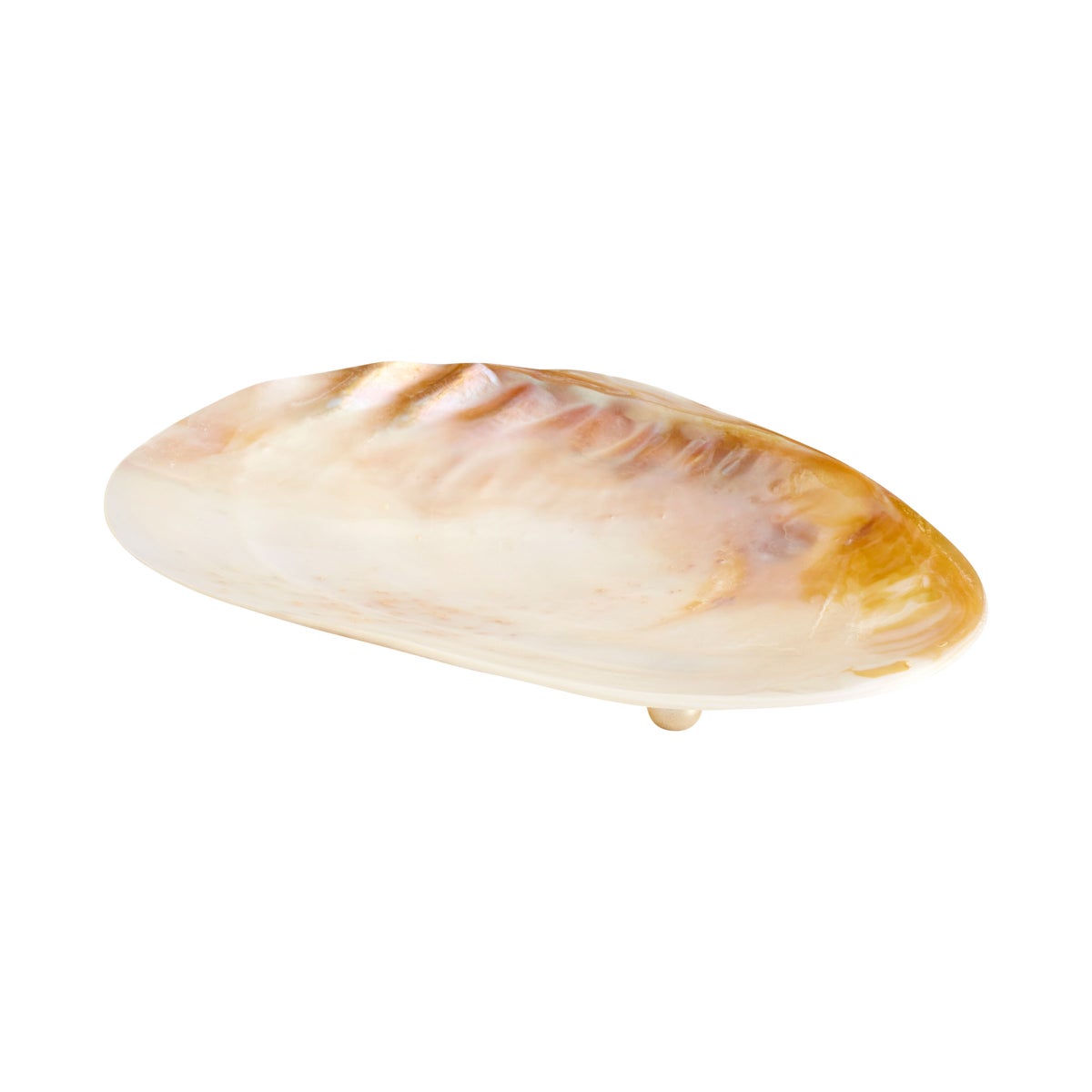 Abalone Tray - Small
