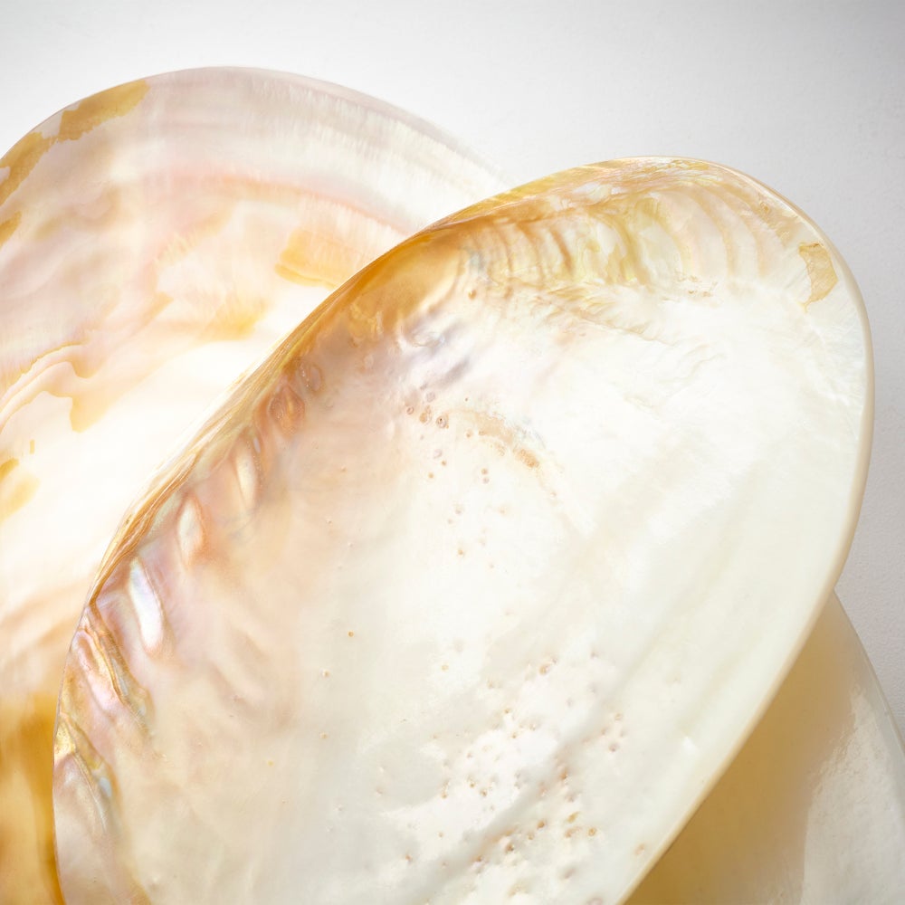 Abalone Tray | Pearl - Large