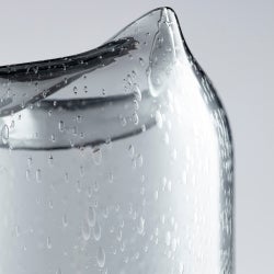 Oxtail Vase | Clear - Small