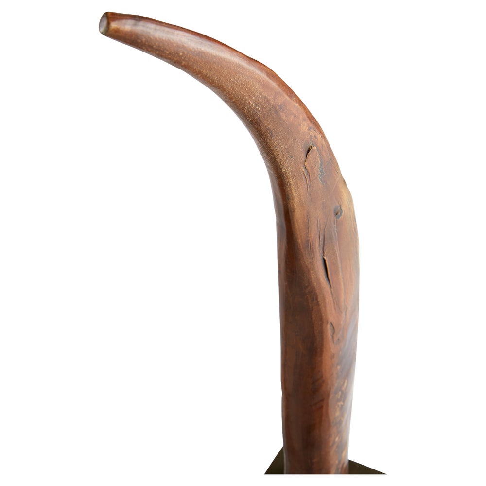 Eastern Claw Sculpture | Brown And Bronze