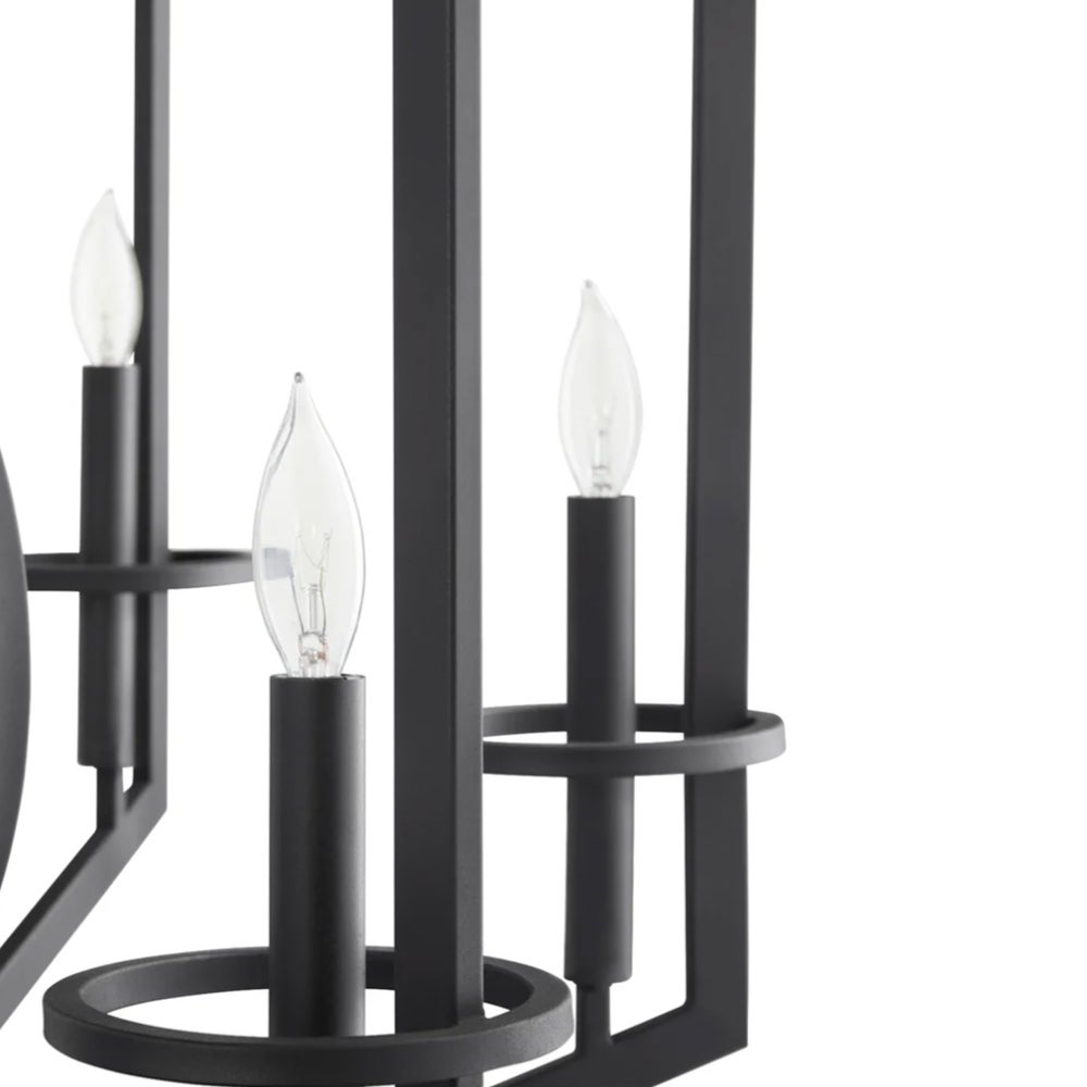 Oxalis Chandelier | Noir