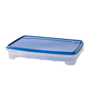 Egg Tray Plastic 13.5x9x2.5in with Blue Lid                  643700325693