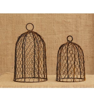 Rusty Bird Cage Domes